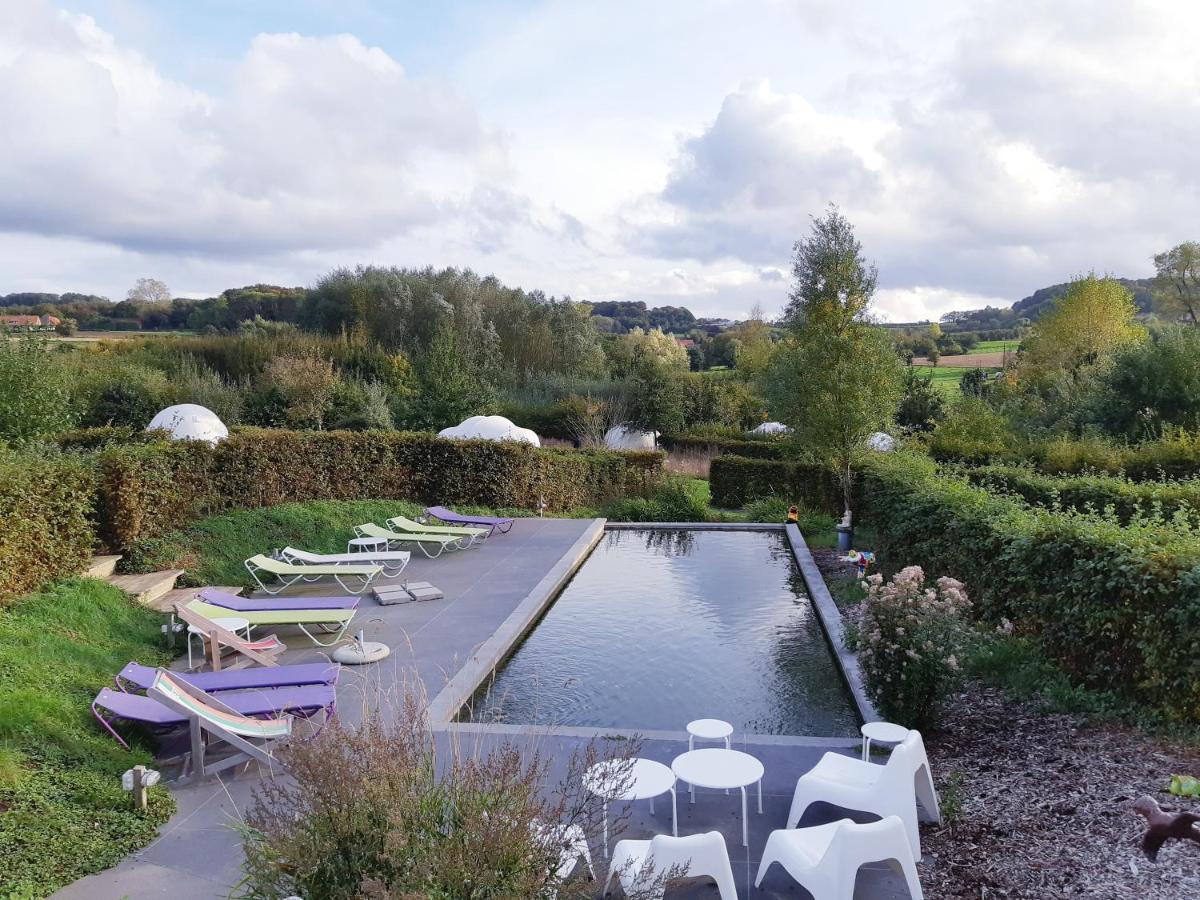 Ecochique Hotel Westouter Luaran gambar